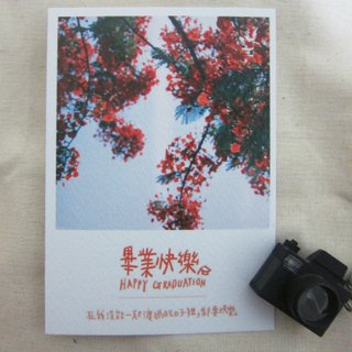 Happy graduation/Magai&#x27;s postcard
