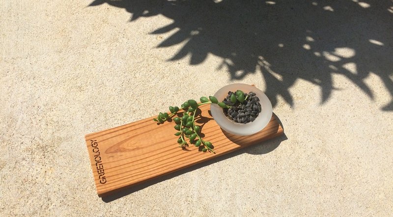 Greenology 玻璃小碟/燭台配木底座 - 盆栽/植栽 - 木頭 咖啡色