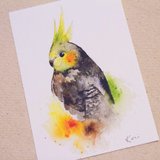 birdink