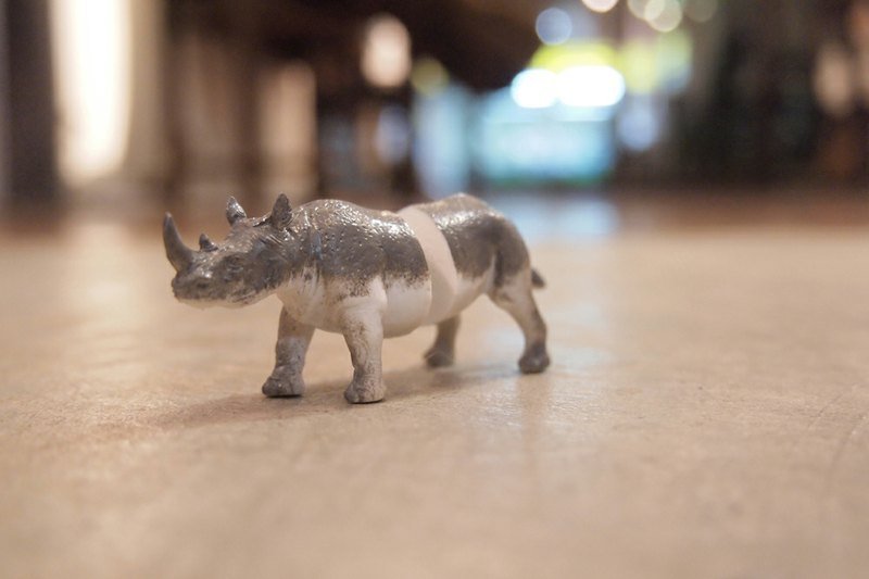 Taiwan original Magic Double M Animal earrings - Rhino articles