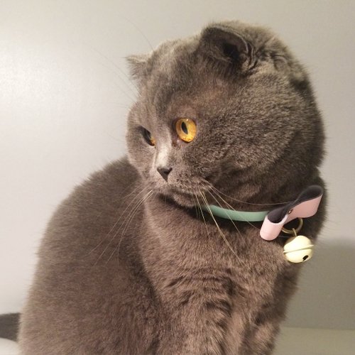 emoneni Leather pet collar butterfly in pinky color