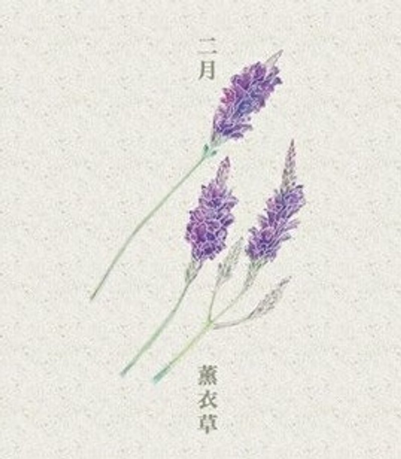 花卉手繪插畫明信片-4張組