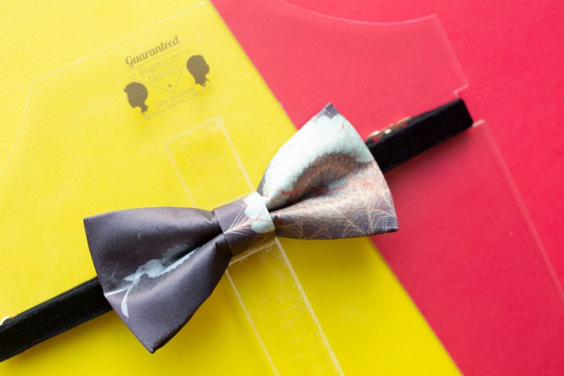 Style 0009 Bowtie - Modern Boys Bowtie, Toddler Bowtie Toddler Bow tie, Groomsmen bow tie, Pre Tied and Adjustable Novioshk
