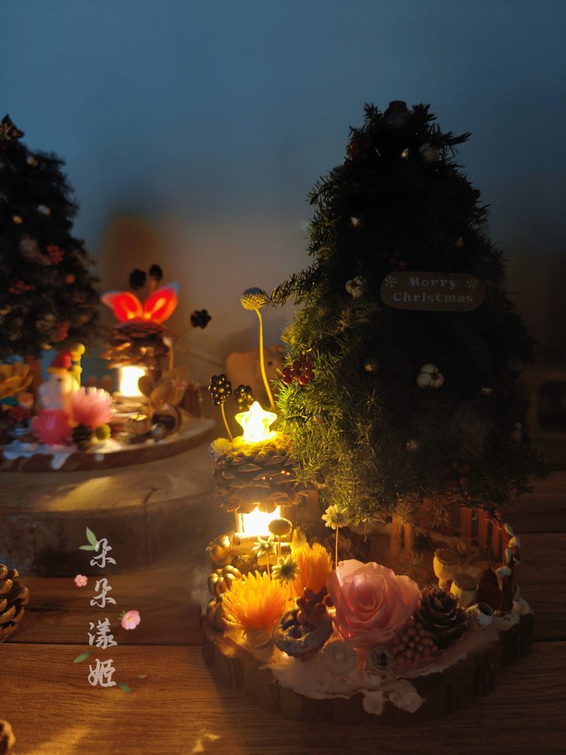 預購永生花聖誕手作材料包DIY有附教學製作影片USB夜燈松果發光屋 - 花藝/盆栽/植栽 - 植物.花 綠色