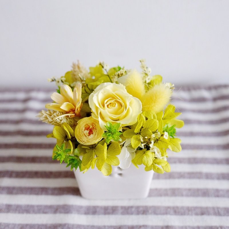 Still looking forward to paradise - do not wither dry table yellow - Preserved & dried flower little table flower (yellow)