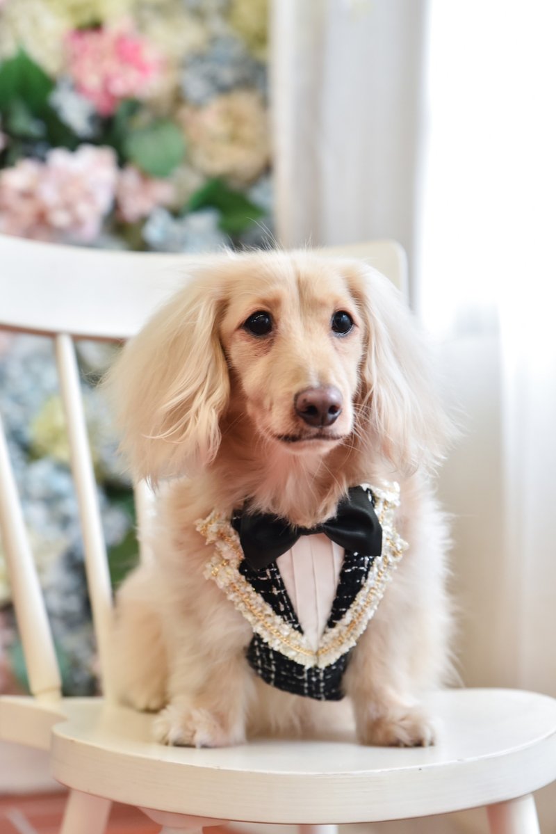 Angel Nina 寵物 圍兜 領巾 脖圍 西裝 毛呢 小香風 - 寵物衣服 - 棉.麻 粉紅色