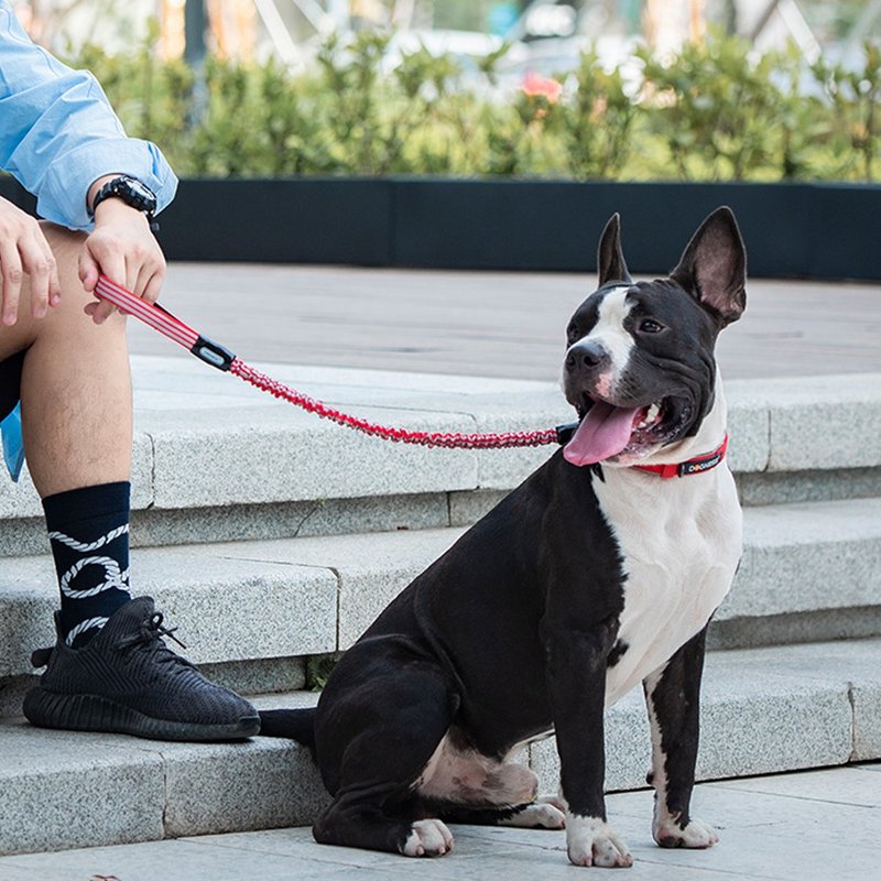 【DOGNESS多尼斯】抗震系列寵物牽引繩(2色) - 項圈/牽繩 - 其他材質