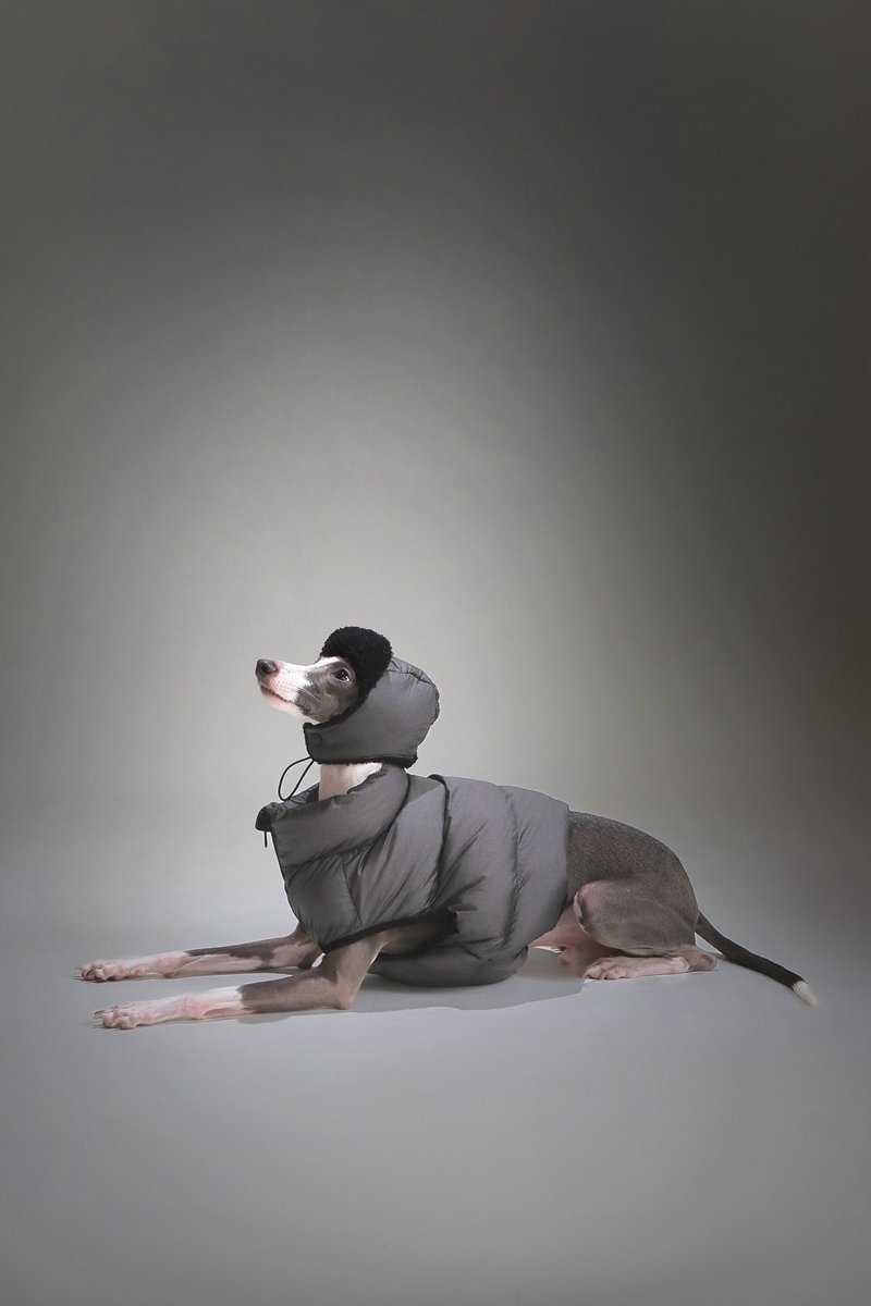 Ulahound星際系麵包背心-寵物羽絨棉保暖背心馬甲(外套) - 寵物衣服 - 聚酯纖維