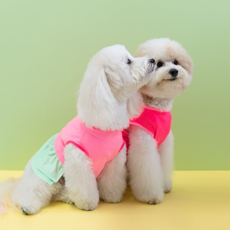 Dog Clothing - Pink Popsicle Dress