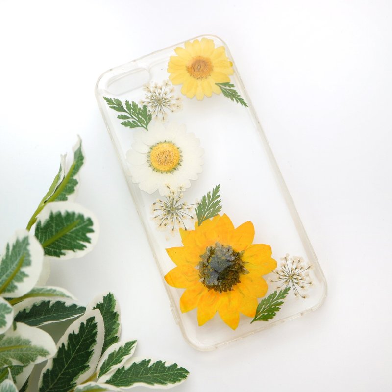 Pressed Real flower phone case - for iphone 5/5s/SE/6/6s/6 plus/6s plus/7/7plus/Samsung S4/S5/S6/S6Edge/S7/S7Edge/Note3/Note4/Note5
