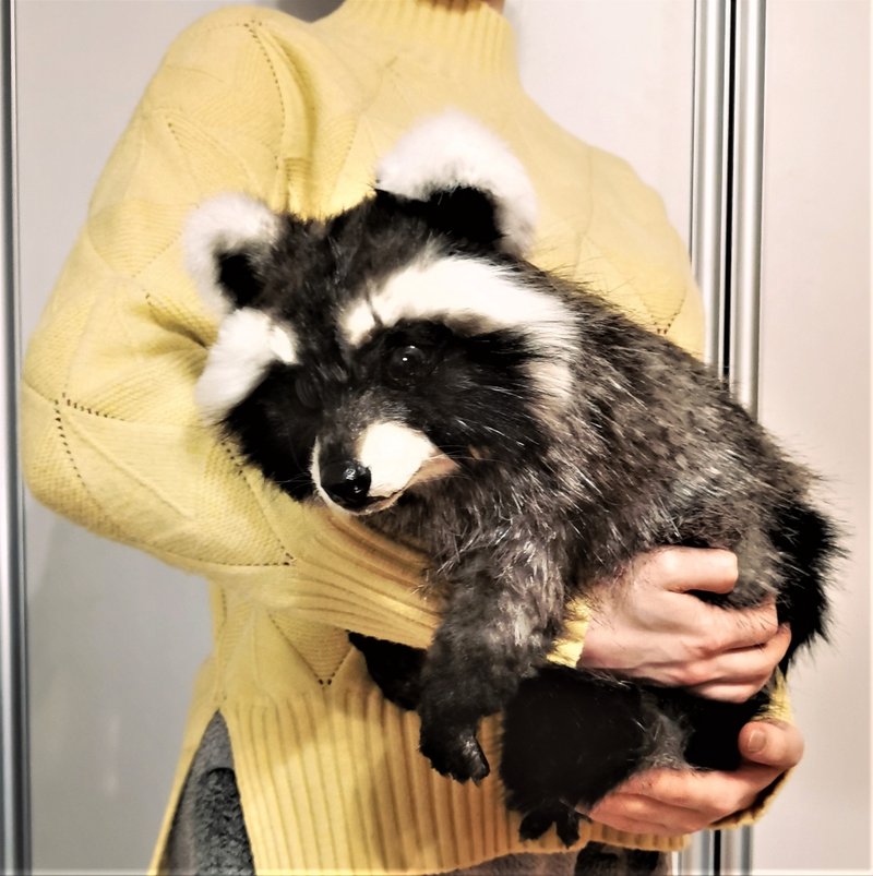 Raccoon chibi fantasy animal stuffed poseable! ears fingers poseable - 公仔/玩偶 - 其他人造纖維 多色