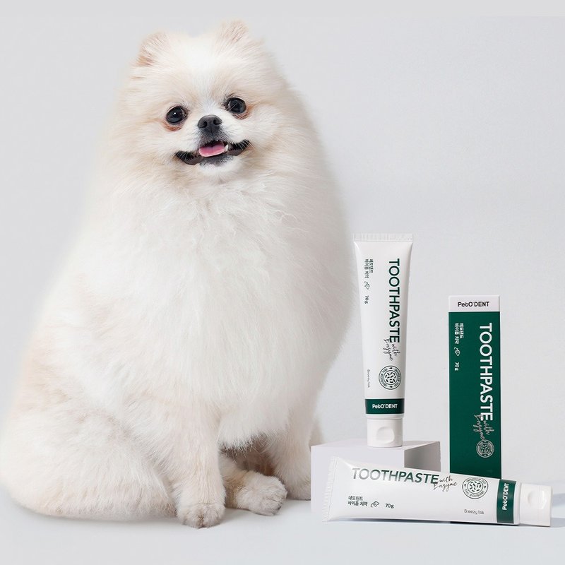 【貓狗用品】Breezytail 牙齒護理-酵素潔齒護齦牙膏 70g - 其他 - 濃縮/萃取物