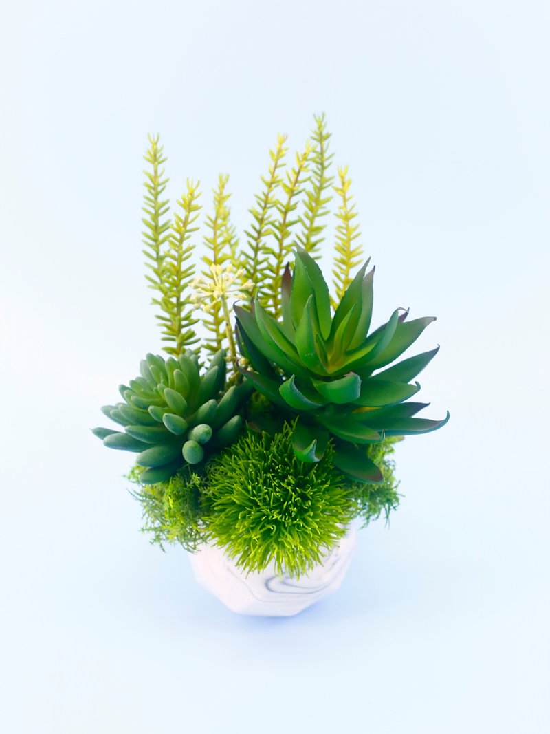 蘆薈多肉組合香氛植栽/擬真植物/人造盆栽/綠化/佈置/禮物 - 盆栽/植栽 - 其他材質 綠色