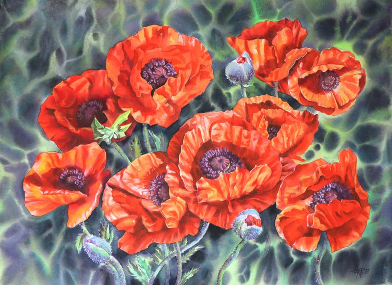 Poppies original watercolor painting by artist Irina Zhunaeva - 壁貼/牆壁裝飾 - 紙 紅色