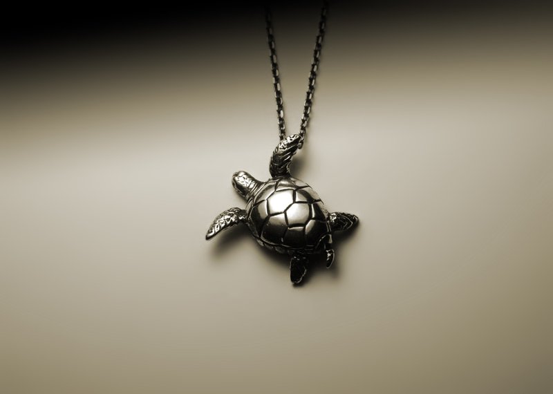 Turtle necklace