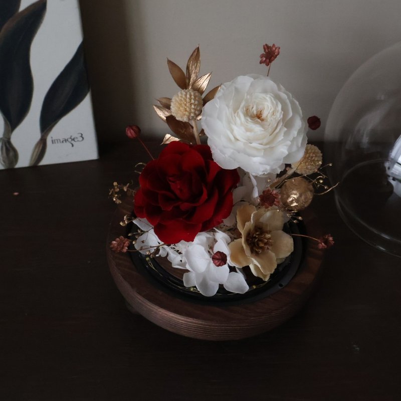 輕奢華玫瑰永生小夜燈圓形玻璃鐘罩 附盒子 情人節  生日 週年 - 乾燥花/永生花 - 植物.花 多色