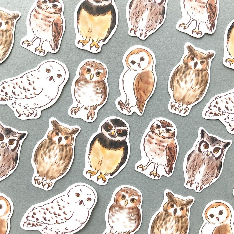Owlフレークシール フクロウ【32枚入】 - 貼紙 - 紙 咖啡色