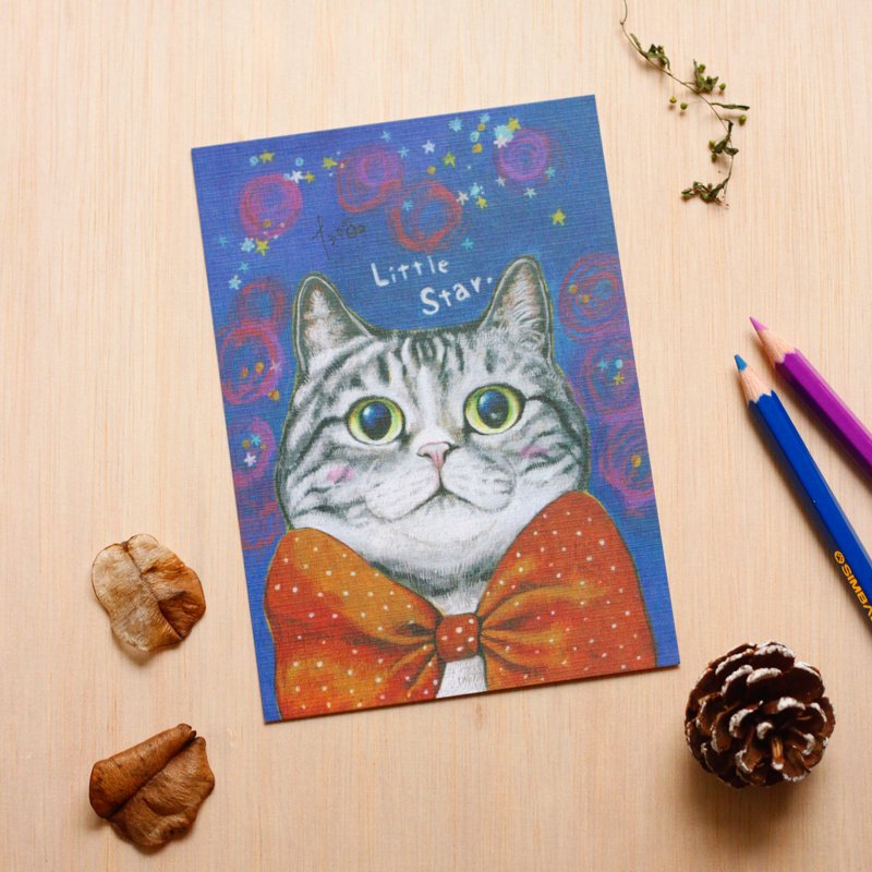 "Thirteen meow illustrator" small star ☉ cat ☉ illustration postcard
