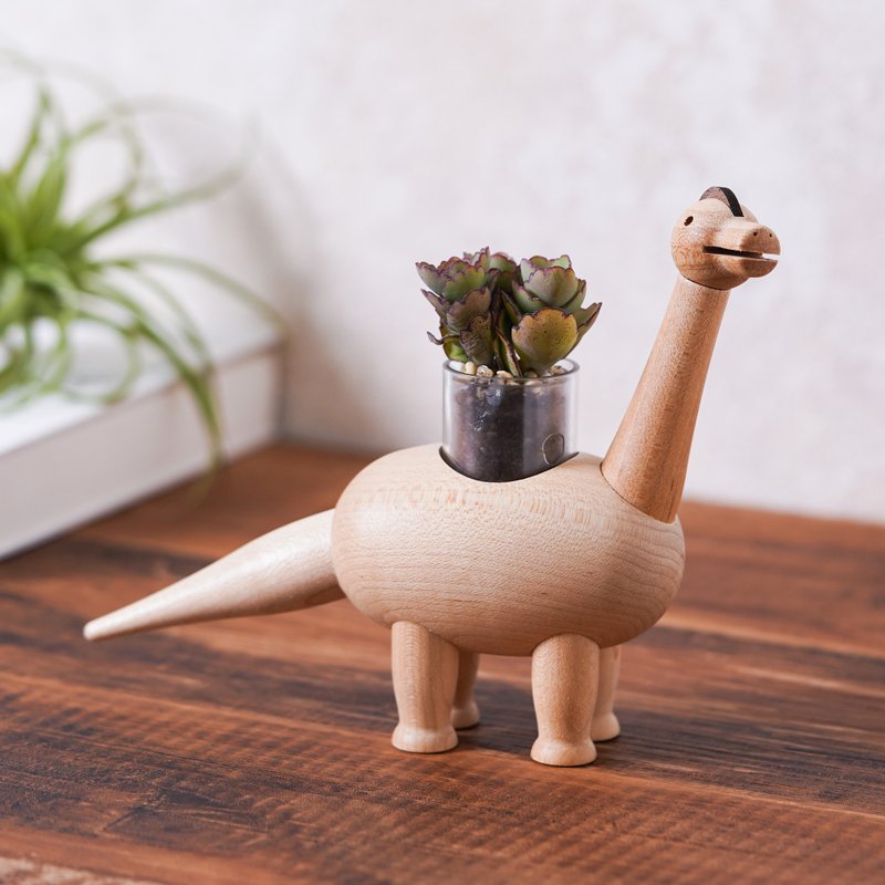 【翩蝶之舞】多肉植物 不含恐龍盆栽 請分開下單 | 蒔光 - 盆栽/植栽 - 植物.花