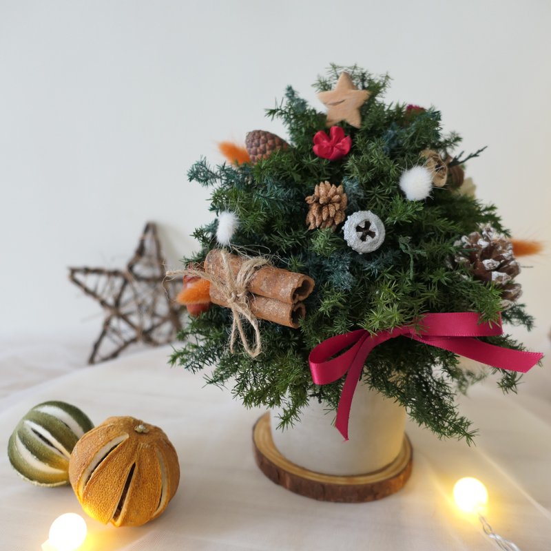 【永生雪松聖誕樹-冬季果實】療癒可愛聖誕樹/附一米長小串燈 - 盆栽/植栽 - 植物.花 綠色