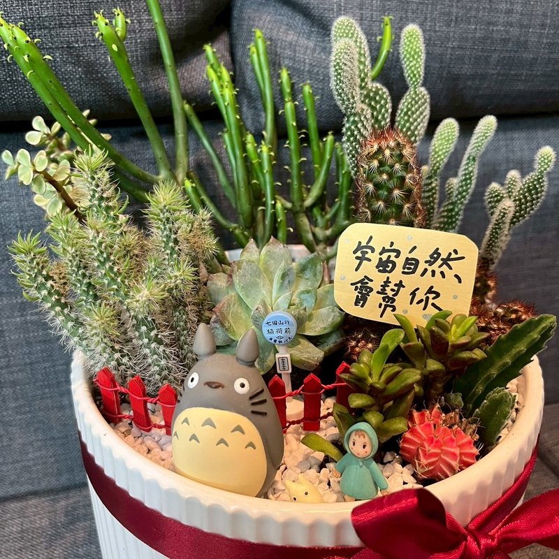 吉卜力龍貓 多肉植物 仙人掌 大盆栽 送禮 臺中市多肉組盆 豆豆龍 - 盆栽/植栽 - 植物.花 綠色