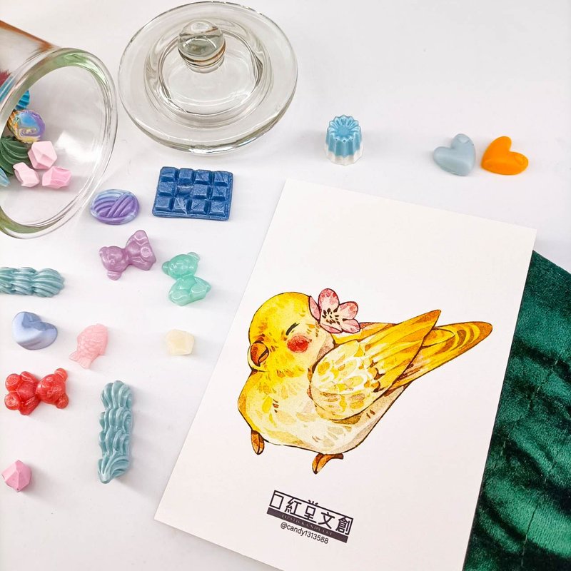 KR474_口紅堂明信片_鸚鵡20_candy1313588 postcard - 卡片/明信片 - 紙 多色