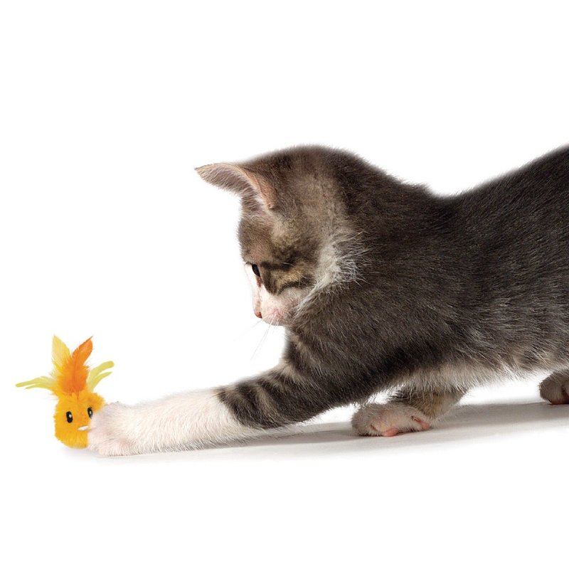 羽毛小丸子  貓草玩具 - 貓/狗玩具 - 其他材質