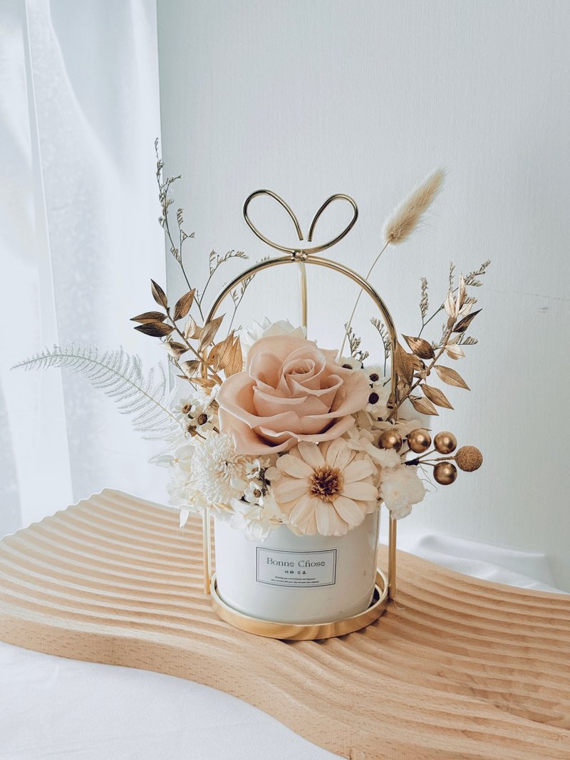 永生祝賀盆花/精美包裝及賀卡/開幕禮/入厝禮/新居落成/升遷禮 - 乾燥花/永生花 - 植物.花 粉紅色