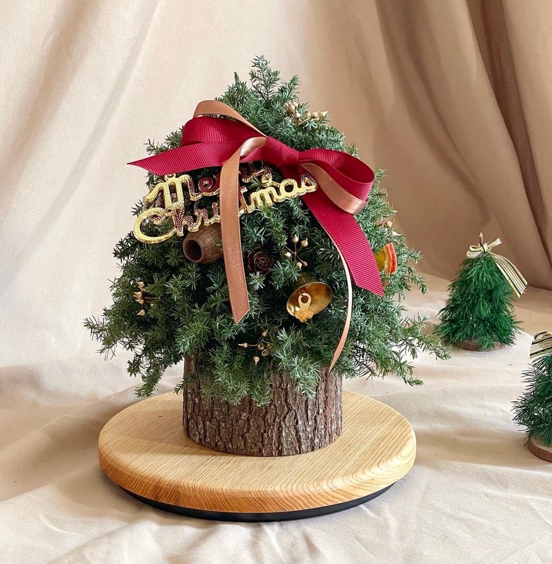 聖誕禮物 胖胖聖誕樹 永生雪松 不凋花 附禮盒 - 乾燥花/永生花 - 植物.花 綠色