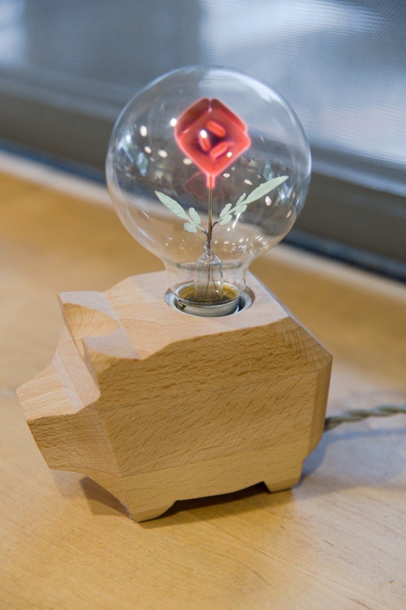 - Jin Space Design - Beech Hardcore Canopy Light Group - Eternal Rose Night Light Bulb