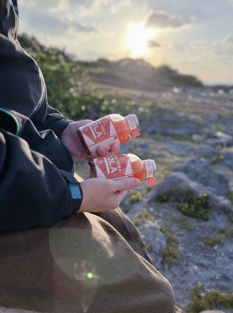 TOBA TOBA COLA 手工釀製可樂糖漿 兩瓶組 - 果汁/蔬果汁 - 玻璃