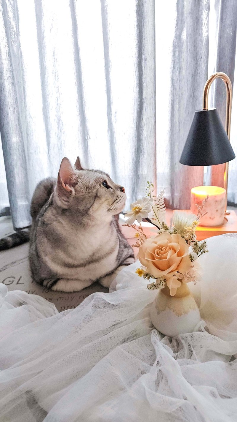 【日本永生花】小花瓶 可客製化 送禮 生日禮物 桌花 - 乾燥花/永生花 - 植物.花