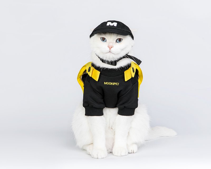 寵物衣服喵咪狗狗Dont Touch背包衛衣 - 寵物衣服 - 棉.麻 黑色