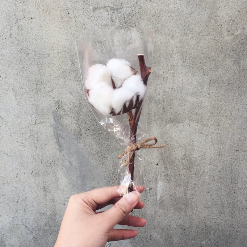 Dry cotton flower