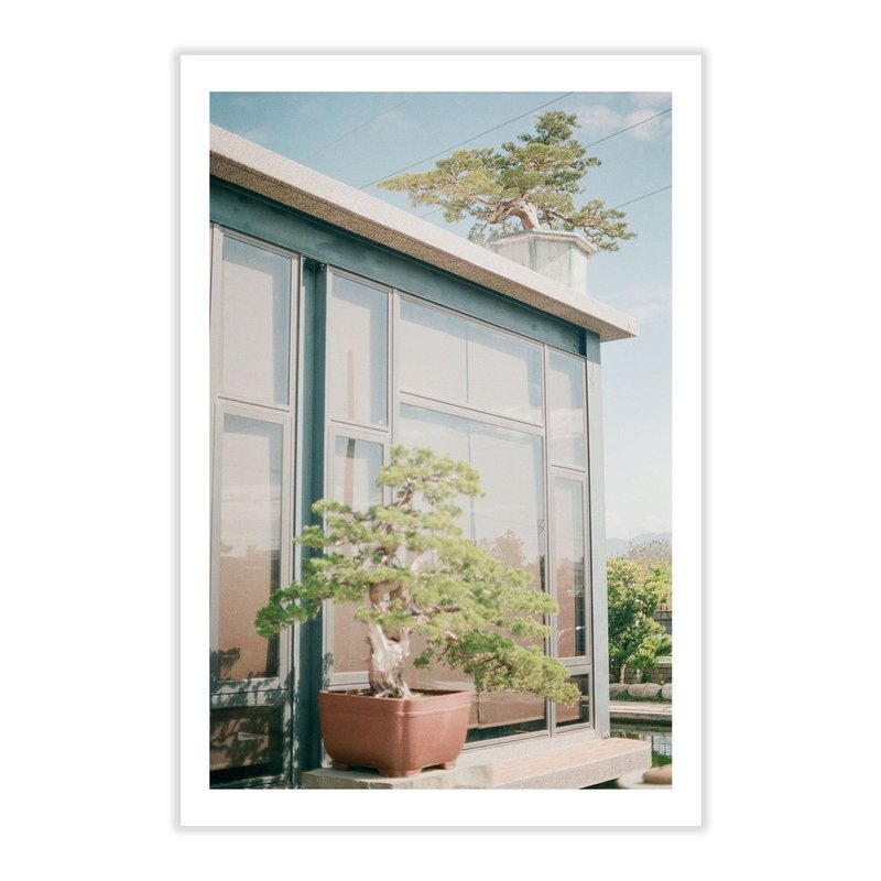 Taiwan Postcard, Real Photo Postcard, 4x6 Postcard - 卡片/明信片 - 紙