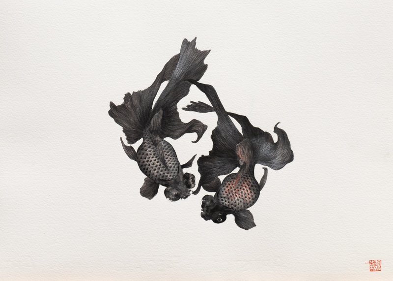 舞。WǓ DANCE- ii-iii