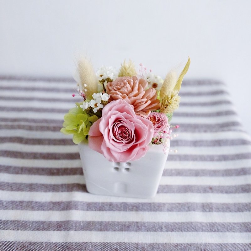 還是嚮往天堂 - 不凋乾燥小桌花 香檳 - Preserved & dried flower little table flower