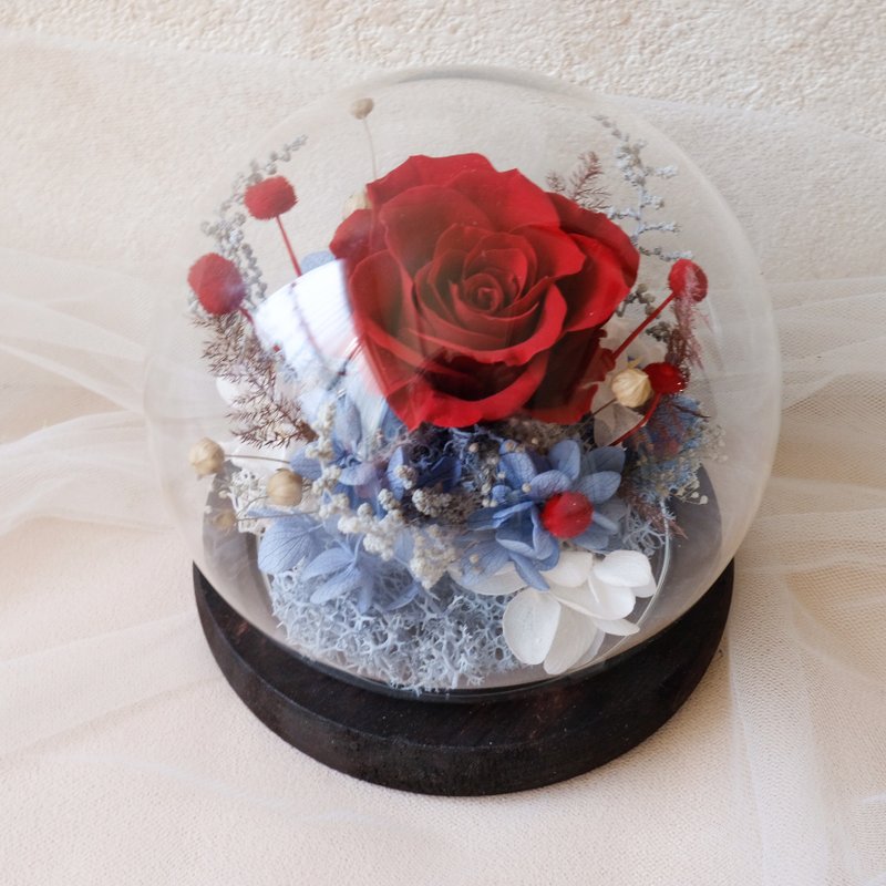 玻璃鐘罩/紅色/不凋花/永生花/玫瑰花/生日禮物/情人節 - 盆栽/植栽 - 植物.花 紅色