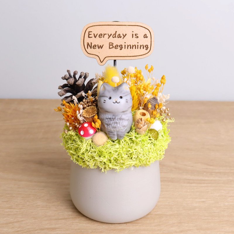 灰虎斑貓 乾燥花盆栽 客製化字牌 可夾卡片 聖誕 耶誕 交換禮物 - 乾燥花/永生花 - 木頭 灰色