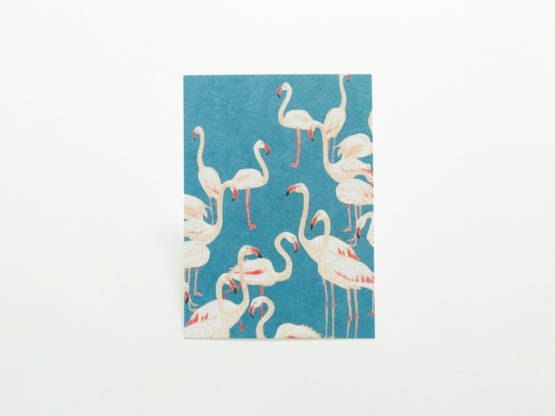 post card (flamingo)