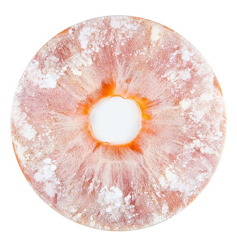 【 PLS 】<Layla>special handmade paint home decoration unique art piece plate