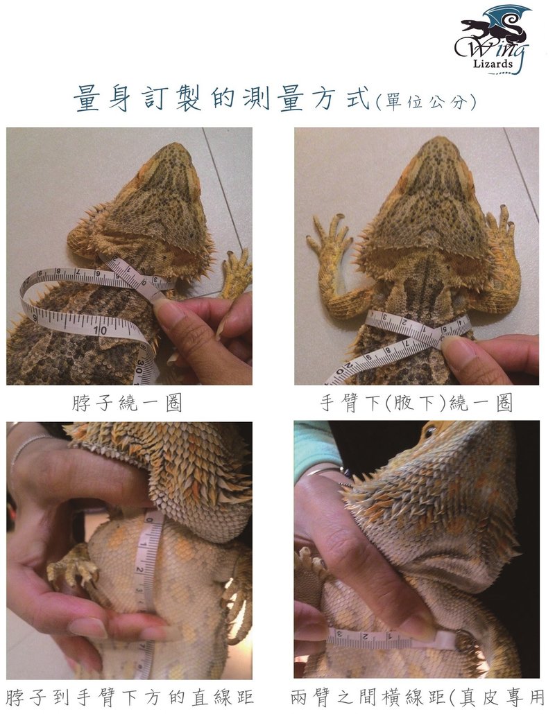 Reptile leash guests order area