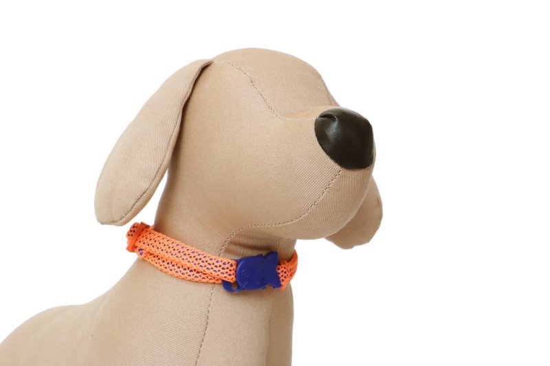 Orange colour pet collar