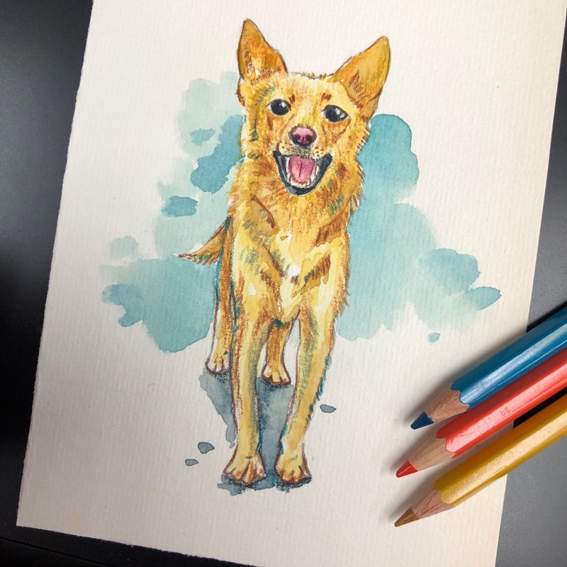 Lets draw your pets