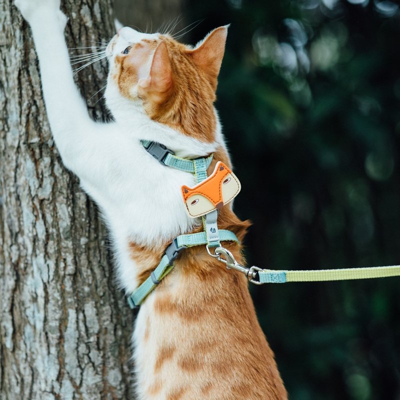 Tail with me】 【classic nylon rope with cats series Mint lemon yellow
