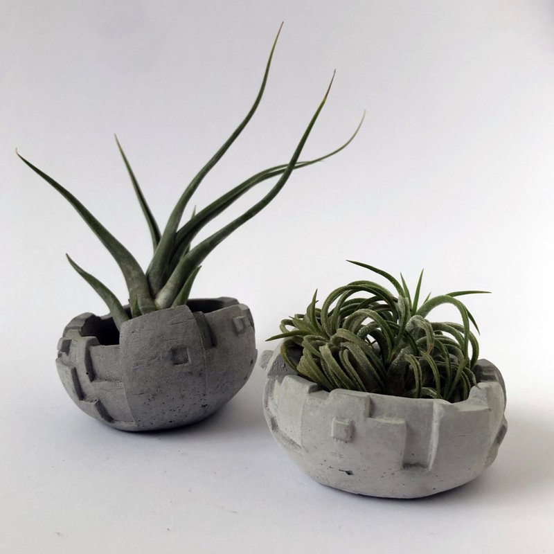 【BunkerCity】空鳳盆 - 盆栽/植栽 - 水泥 灰色