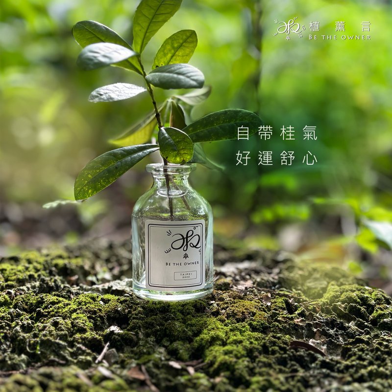 香氛噴霧-秋之微光-茉莉,橙花,玫瑰花瓣,白桂花,地中海橘子,橙子 - 香氛/精油/擴香 - 精油