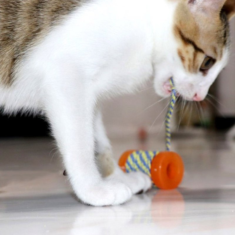 貓草玩具 歐卡彈力卷 - 貓跳台/貓抓板 - 其他材質