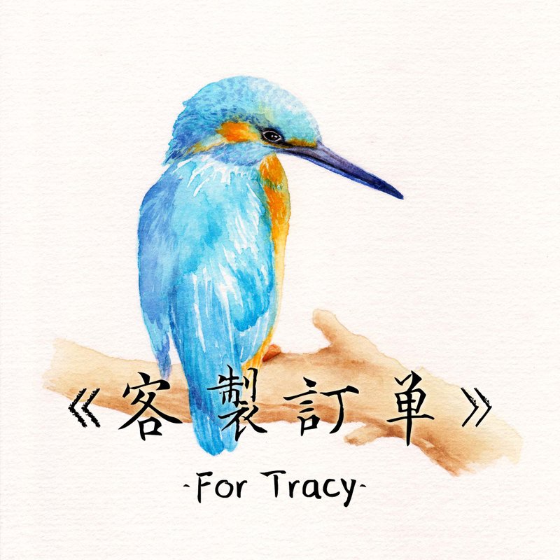 【Custom Oil Painting】 for Tracy. Small Canvas Kingfisher Painting.