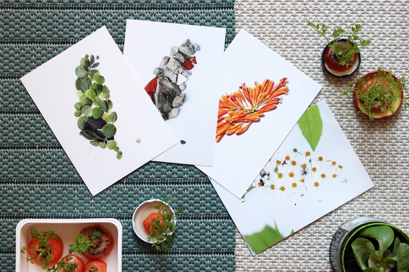 TAIWAN IS MADE OF TAIWAN 花草石明信片 整套8張組 - 卡片/明信片 - 紙 多色